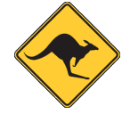 Manjimup Skippycoin ICG Manjimup Skippycoin ICG